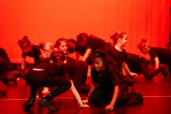 2025 Show