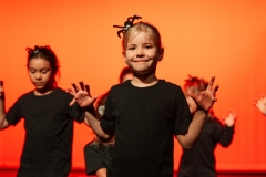 2025 Show