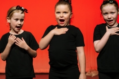 2025 Show